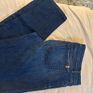 Joe’s Jeans Petite Skinny Blue Denim Jeans